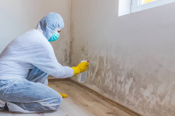 Licensed Bathroom Mold Removal service in Middletown, PA - WQB Mold Removal