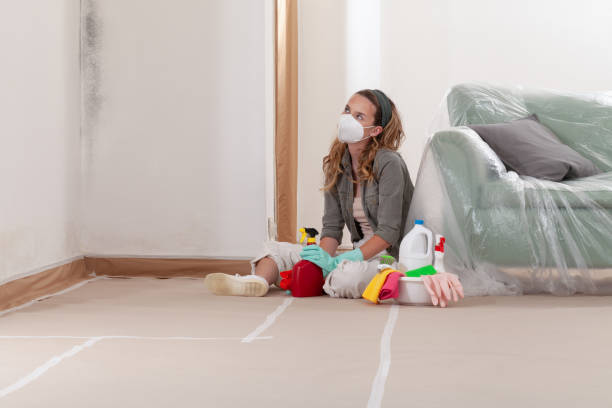 Reliable Bathroom Mold Removal contractor in Middletown, PA by WQB Mold Removal